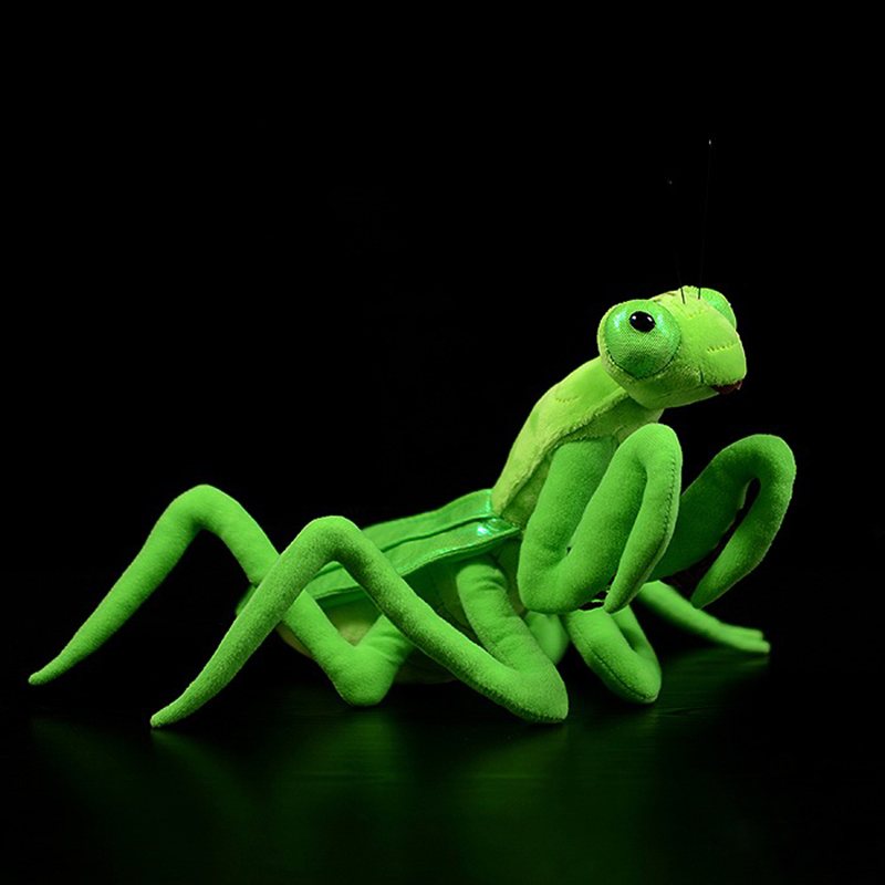 Louva-a-deus de Pelúcia Realista 28 cm
